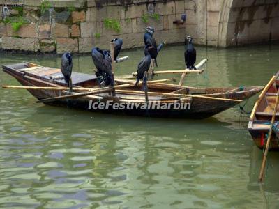 Tongli Water Town