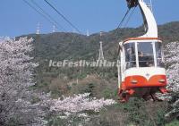 The Victoria Peak in Spring