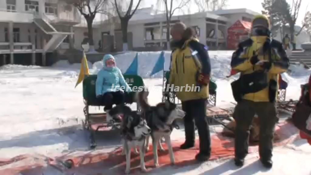 Harbin Sun Island in Winter