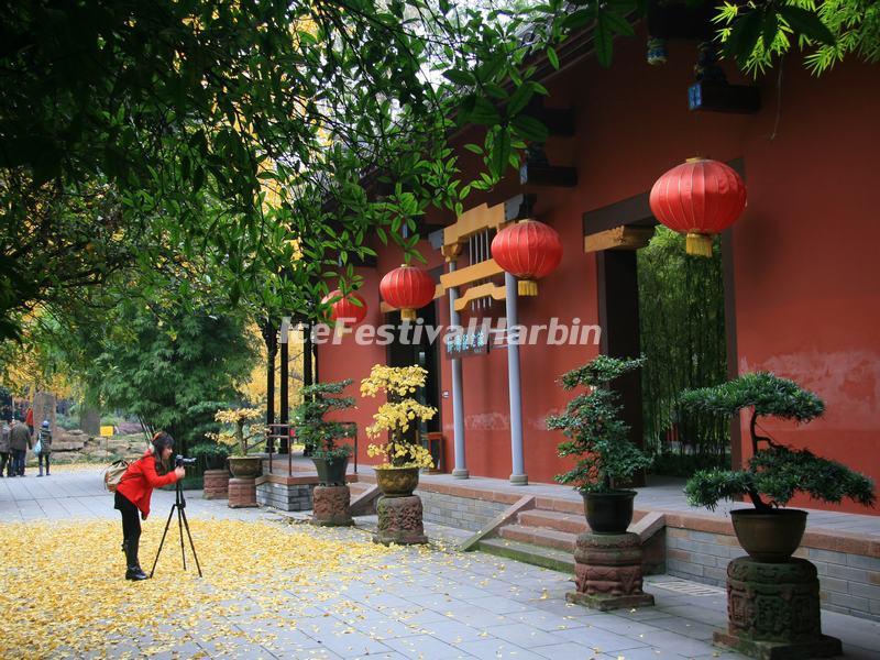Wangjianglou Park