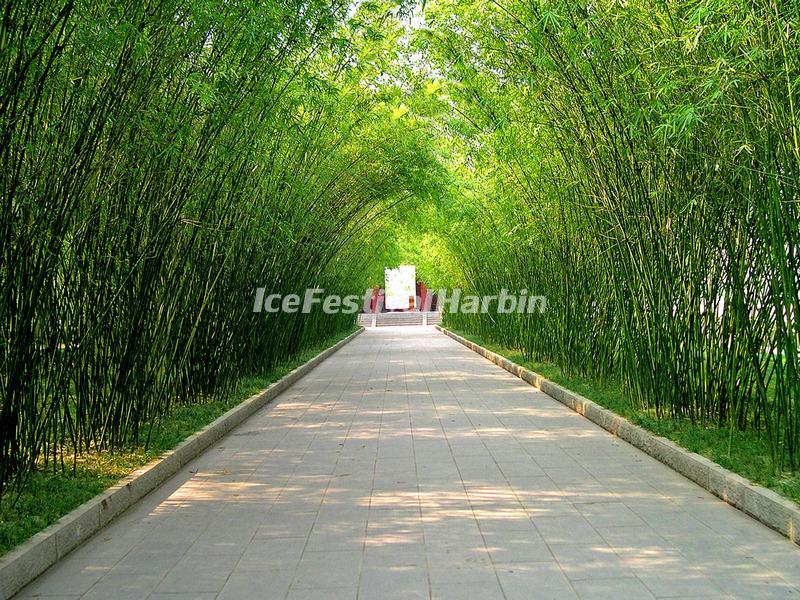 Wangjianglou Park