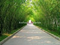 Wangjianglou Park
