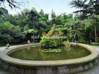 Wangjianglou Park