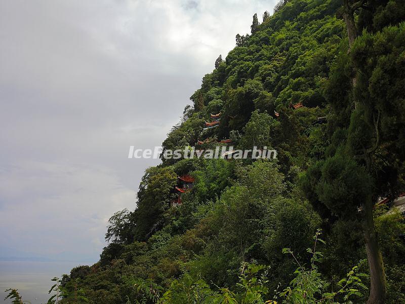 Western Hills Forest Reserve Scenery 