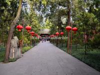 Red Lanterns at Wuhou Memorial Temple