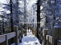 Xiling Snow Mountain in Winter