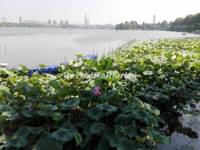 Xuanwu Lake