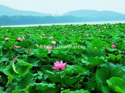 Nanjing Xuanwu Lake