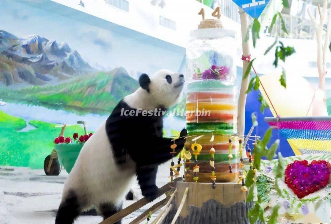 Yabuli Panda House