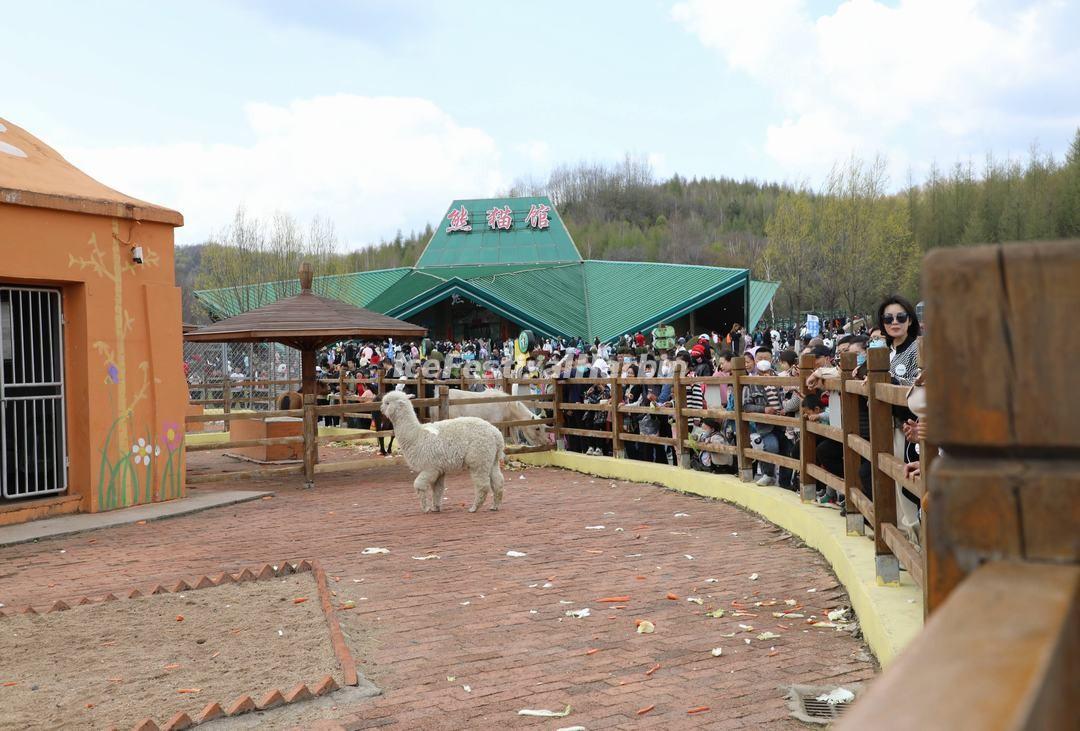 Yabuli Panda House