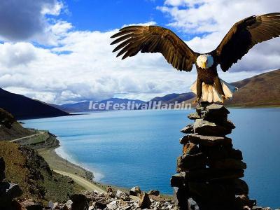 Tibet Yamdrok Lake