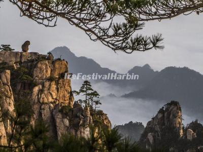 The Monkey Gazing at the Sea in the Yellow Mountain 