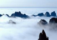 Sea of Clouds in the Yellow Mountain 