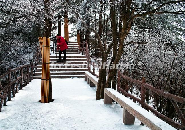 Steps in the Yellow Mountain 