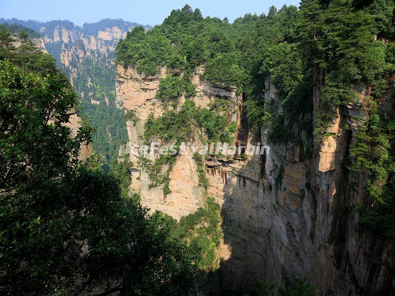 Yuanjiajie Scenic Area