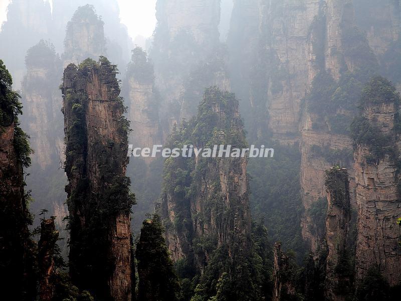 Yuanjiajie Scenic Area