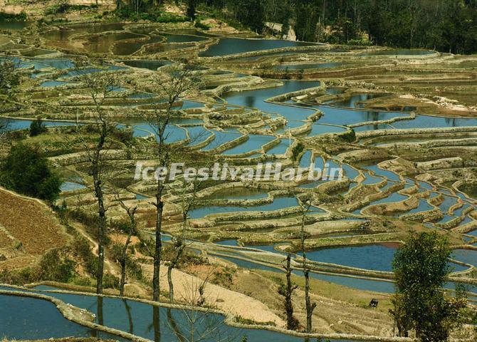 Yuanyang Rice Terraces