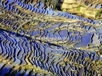 The Blue Rice Terraces, Yuanyang