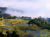 Yuanyang Rice Terraces, February