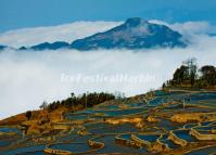 Honghe Hani Rice Terraces China