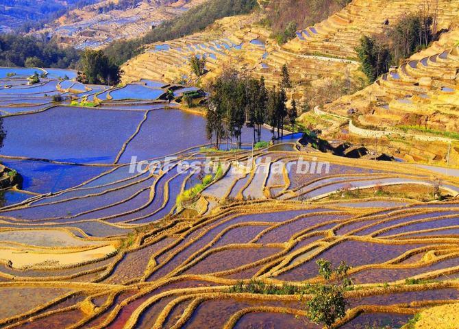 Yuanyang Rice Terraces