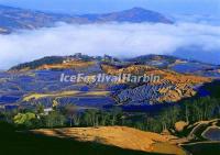 Yuanyang Rice Terraces