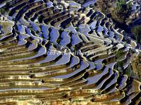 Yuanyang Rice Terraces