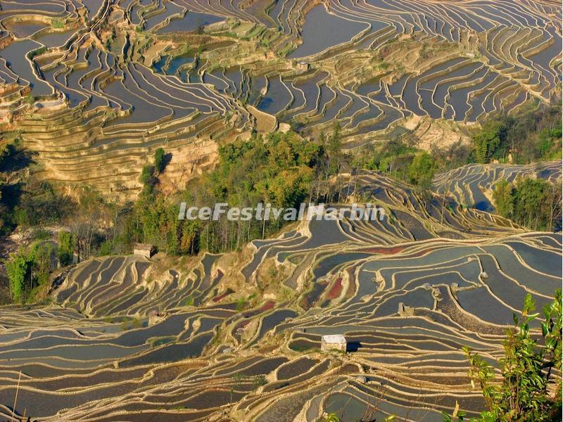 Yuanyang Rice Terraces