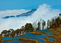 Yuanyang Rice Terraces, Yunnan