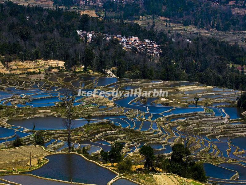 Yuanyang Rice Terraces, December