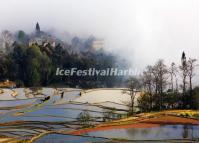 Yuanyang Rice Terraces