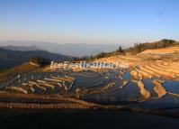 Yuanyang Rice Terraces