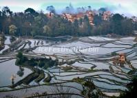 China Honghe Hani Rice Terraces