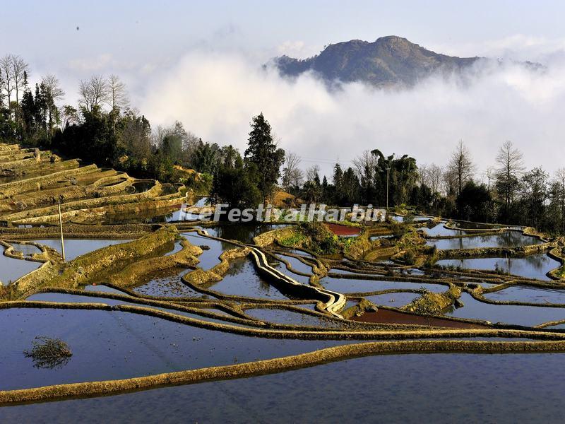 Yuanyang Rice Terraces