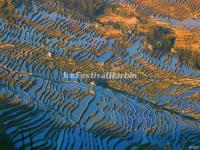 Yuanyang Rice Terraces