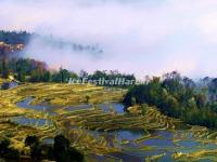 Yuanyang Rice Terraces