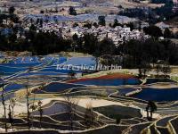 Yuanyang Rice Terraces, January 