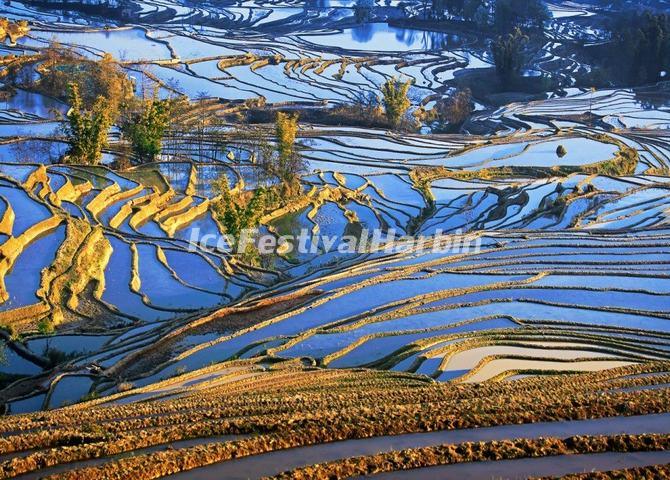 Yuanyang Rice Terraces