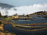 Yuanyang Rice Terraces