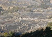 Yuanyang Rice Terraces