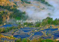 Yuanyang Rice Terraces