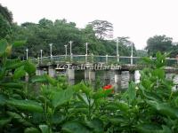 Guangzhou Yuexiu Park Scenery 