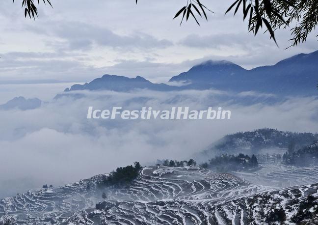 Yunhe Rice Terraces