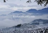 Yunhe Rice Terraces