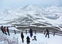 Yunhe Rice Terraces