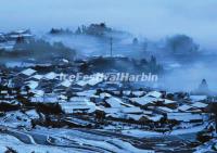 Yunhe Rice Terraces