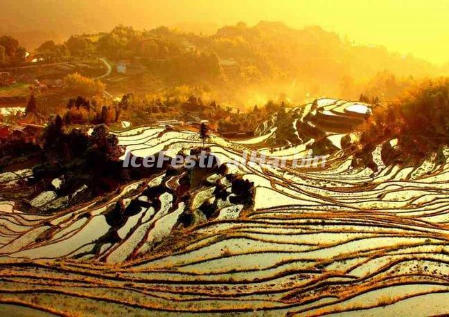 Yunhe Rice Terraces