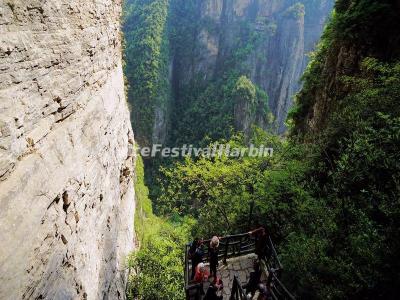 Zhangjiajie Grand Canyon