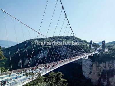 The Glass Bridge Over the Zhangjiajie Grand Canyon