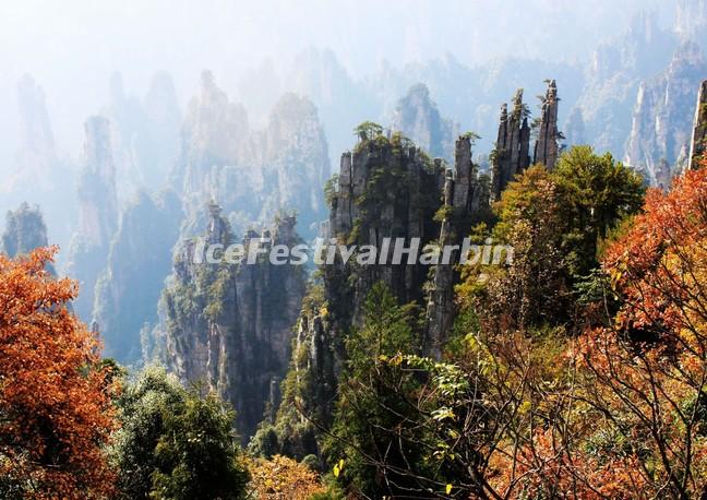 Zhangjiajie National Forest Park Autumn 